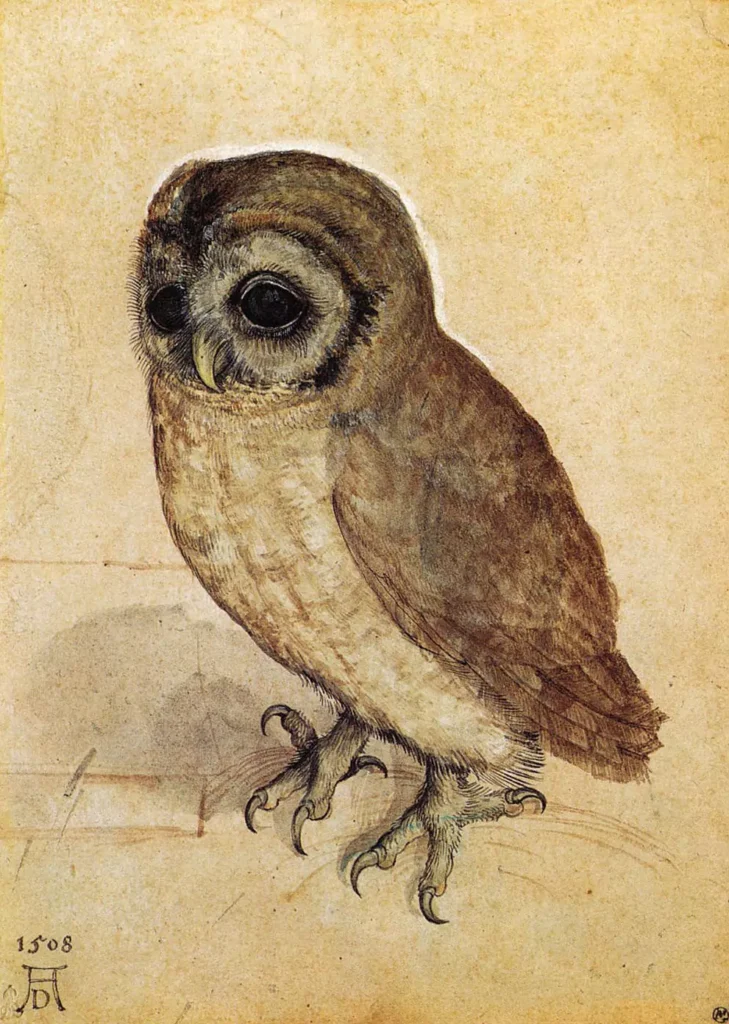 Albrecht Dürer, The Little Owl, Watercolor, 1506, Albertina in Vienna