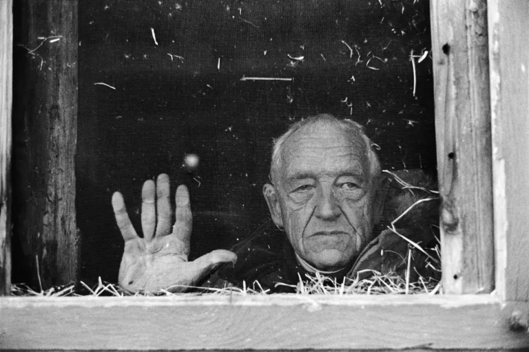 Andrew Wyeth (1917 - 2009)