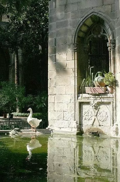 The cloister of the Barcelona Cathedral